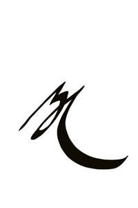 MyLOGO 5